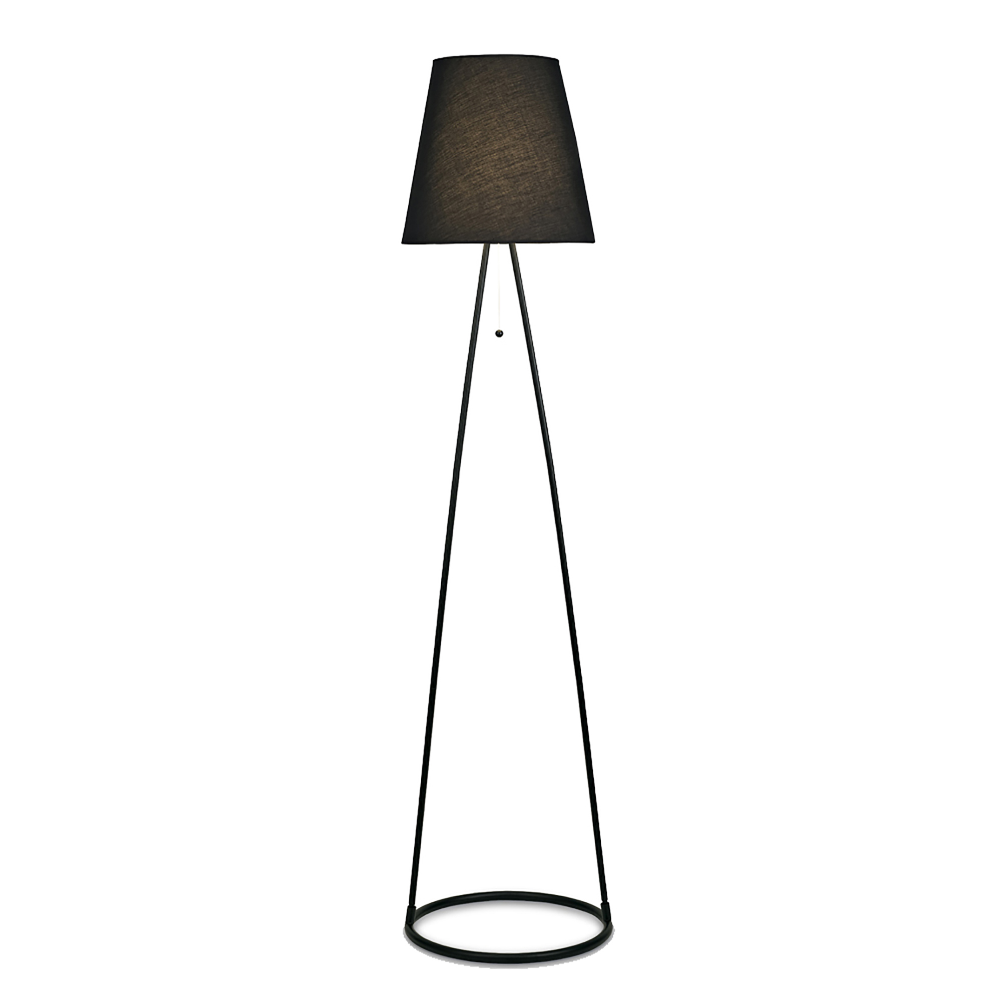 D0233  Hayden 165cm Floor Lamp 1 Light Matt Black